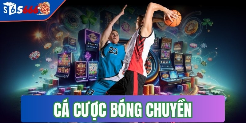 Cá cược bóng chuyền