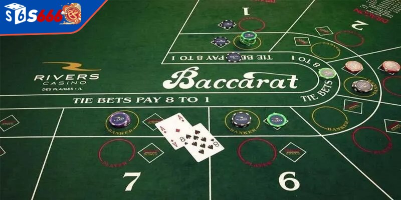 Baccarat là một trò chơi bài phổ biến tại mọi sòng bạc